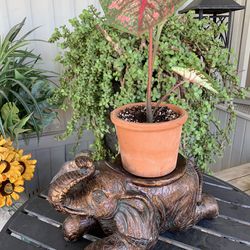 Elephant Plant Pot Stand