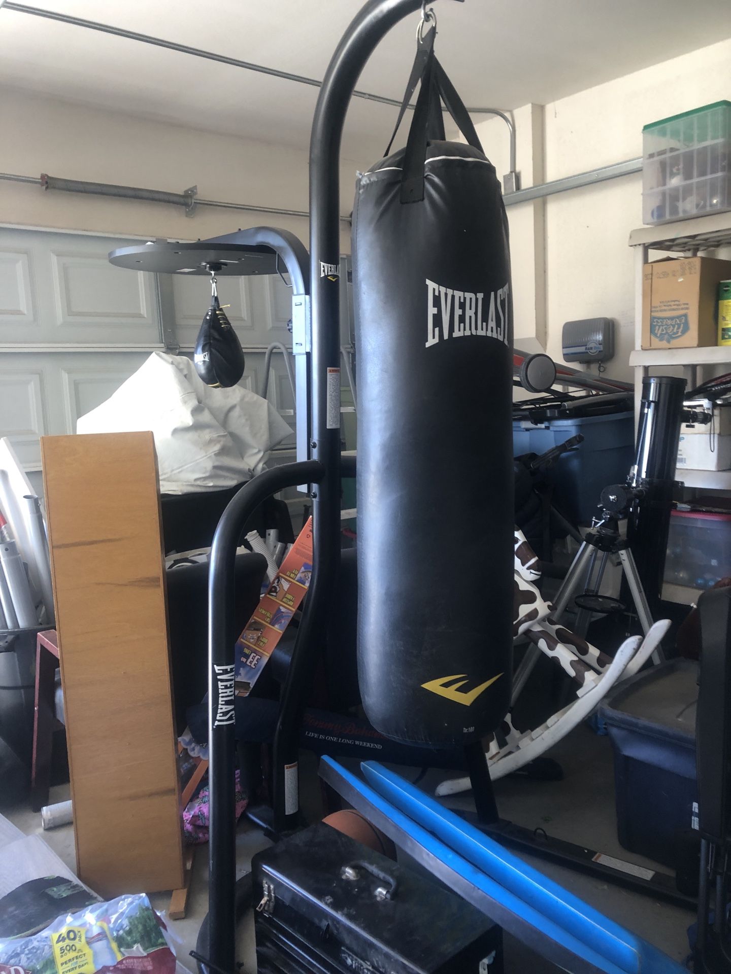 Everlast 100 pound bag with speed bag 200dollar