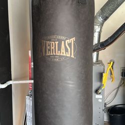 Heavy Duty Punching Bag 
