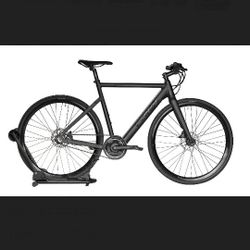 Luna Stealth Electric Bike