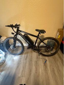 Tote guard 300w e bike