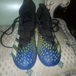 Adidas Predator Cleats