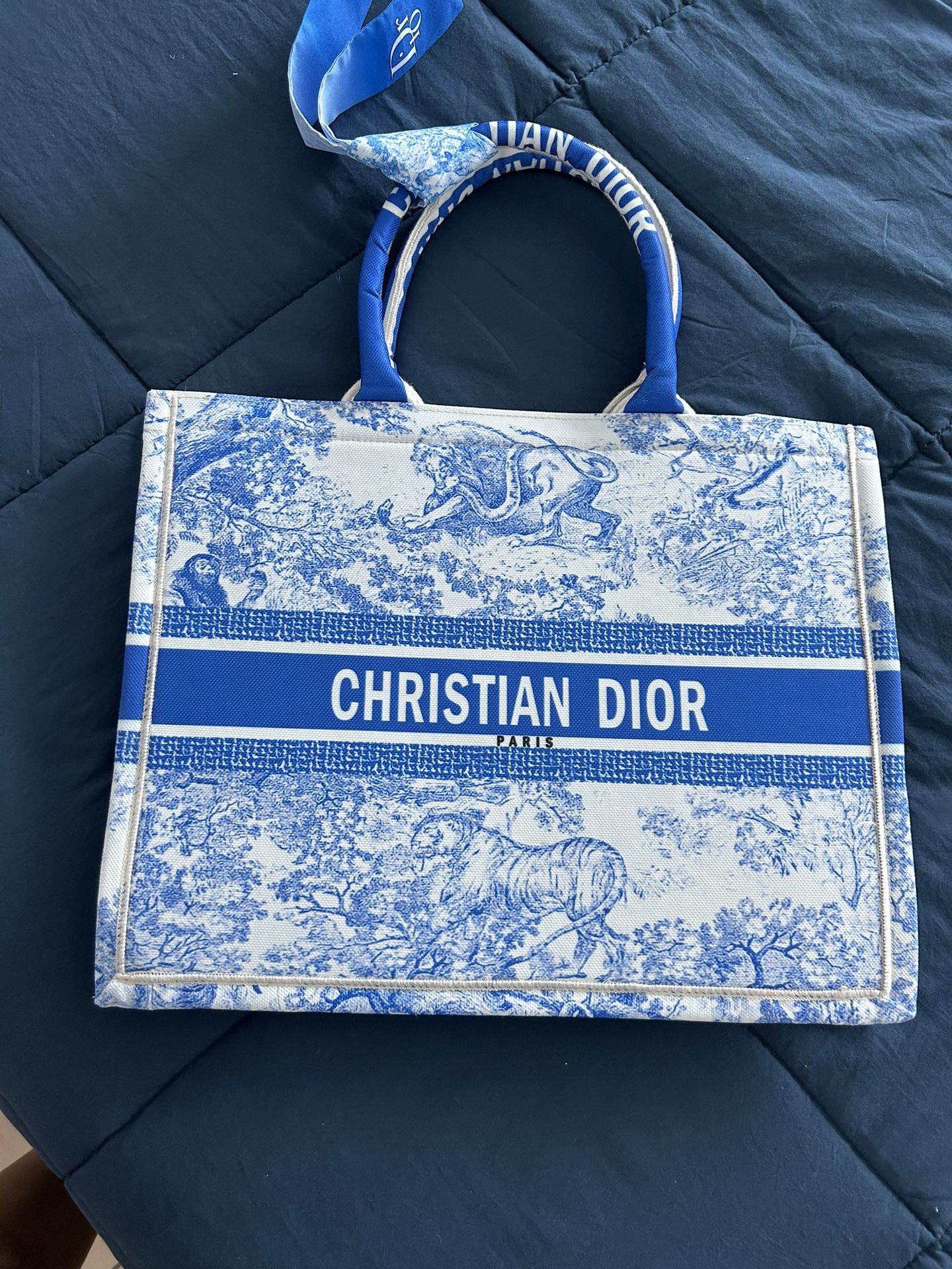Dior Bag 