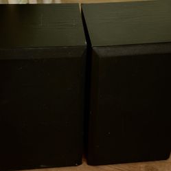 2 Bose Series 4000 Speakers