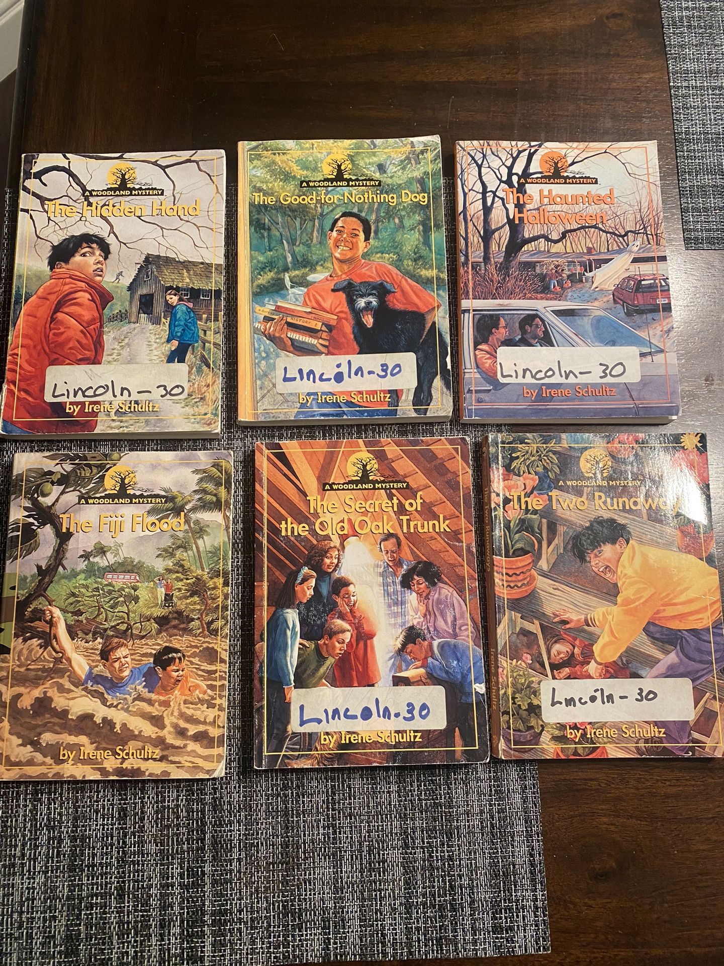 Lot Of 6 A Woodland Mystery Kids Chapter Books Irene Schultz 