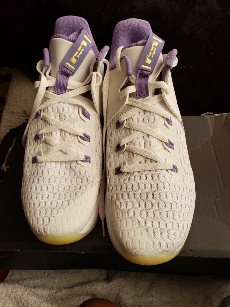 LeBron Witness 'Summit White Metallic Bronze'