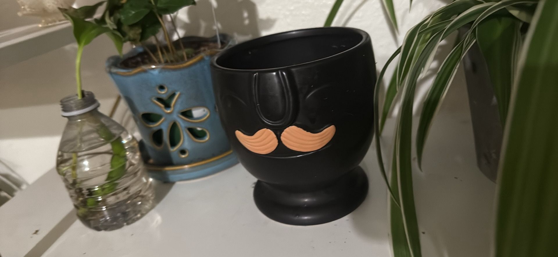 Plant Pot $12