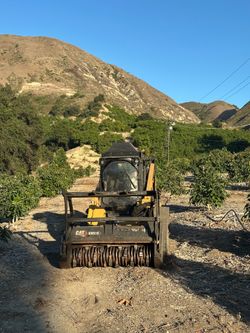 Land clearing#skid steer loader mulcher