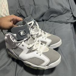 Jordan Cool Grey 6s