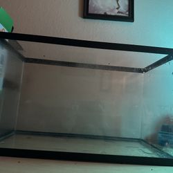 Fish Tank & Some Accessories 