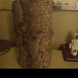  Xl  Cork  bark For Reptiles And Amphibians