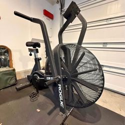 .Rogue-Echo-Bike-V3