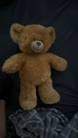 Teddy bear