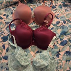 38DD Victoria's Secret Bras 