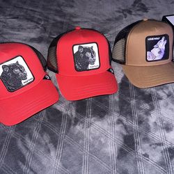 Hats All 40$ Each All Fitted Are 7/3/8