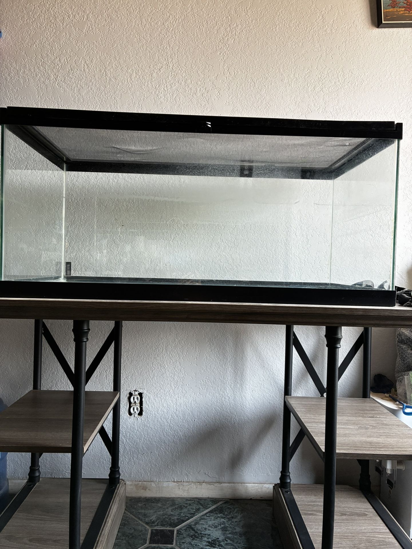 Aquatic Reptile Tank, Filter, Lamps, & Supplies