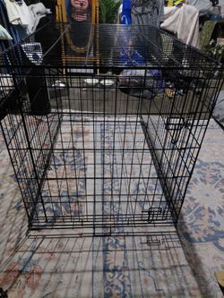 48 inch black crate for 2 dogs