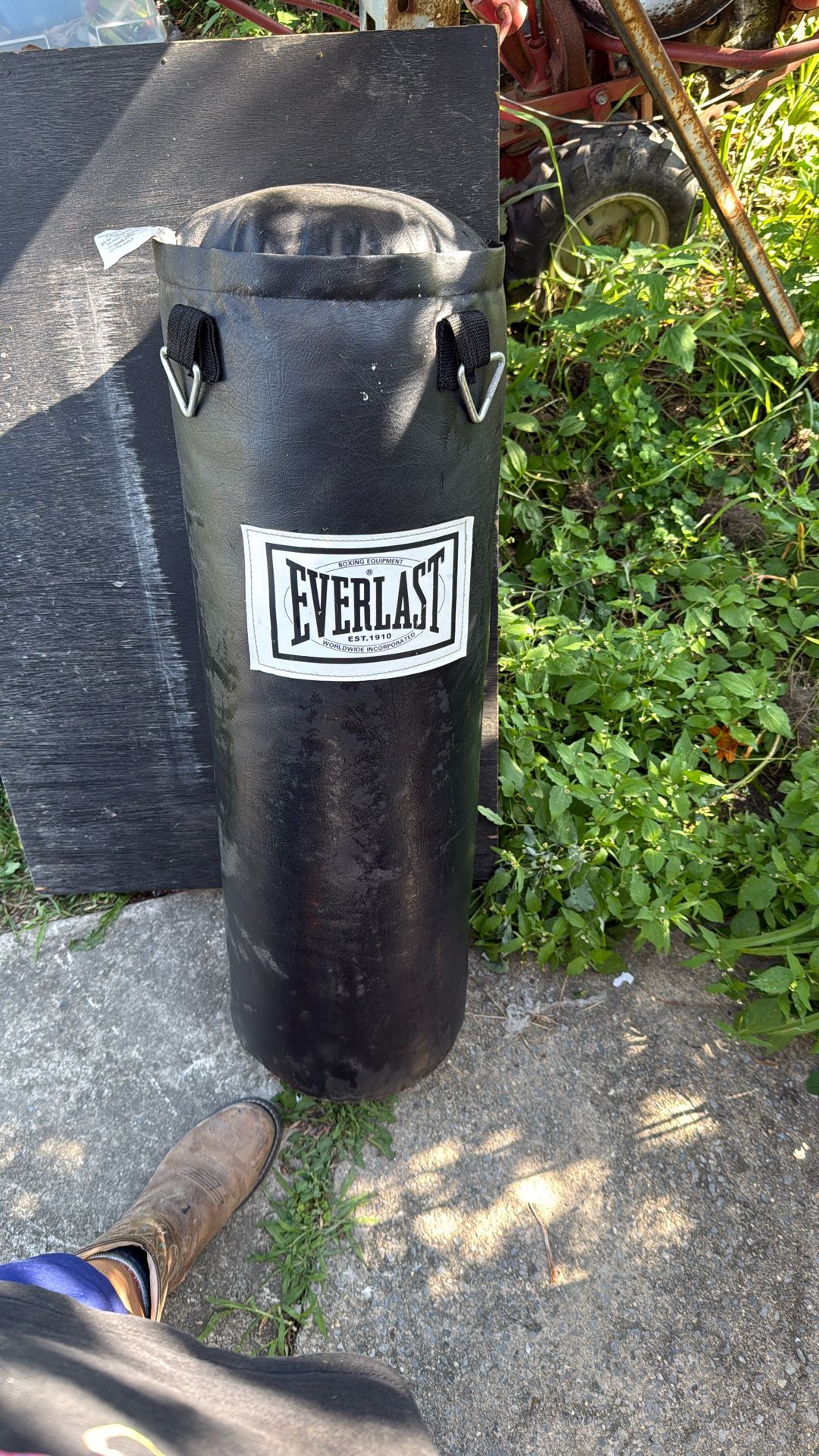 Everlast Punching Bag