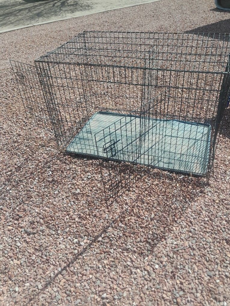 Dog Kennel