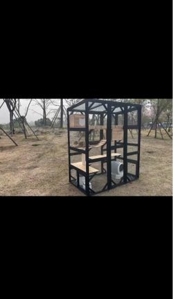 Large “Cat-io” for the kitties!