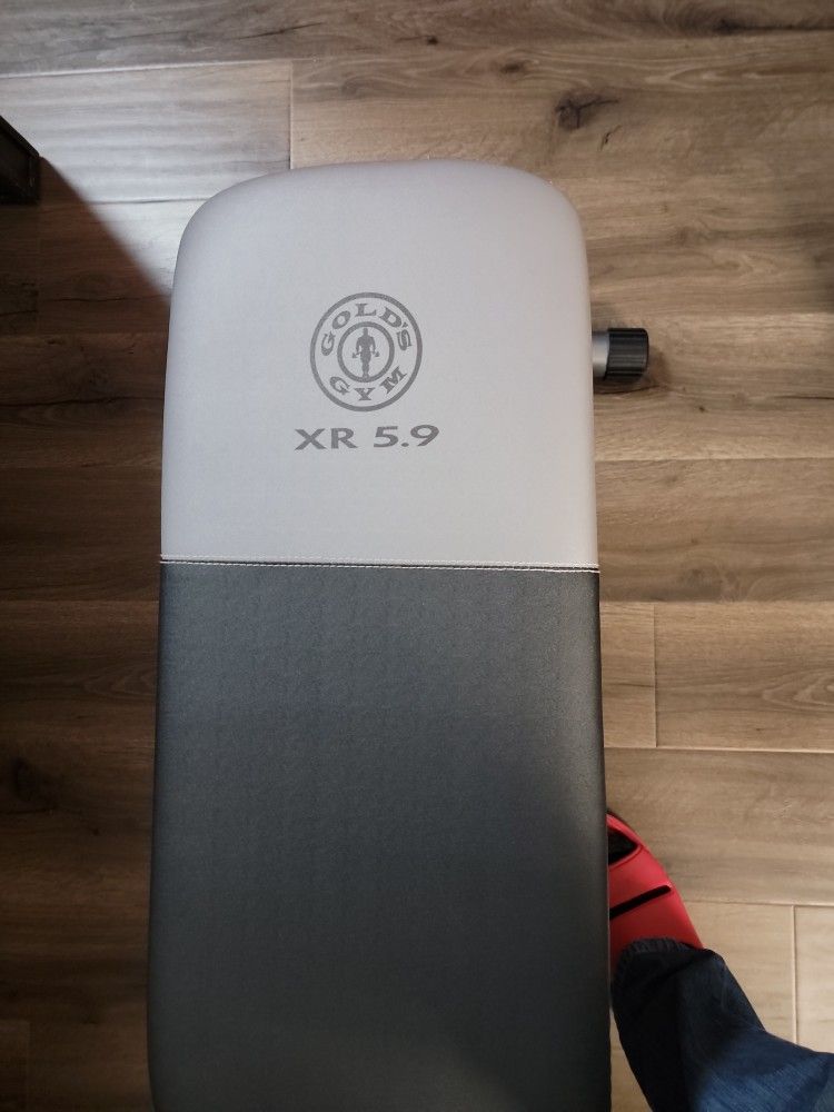 Gold Gym Bench