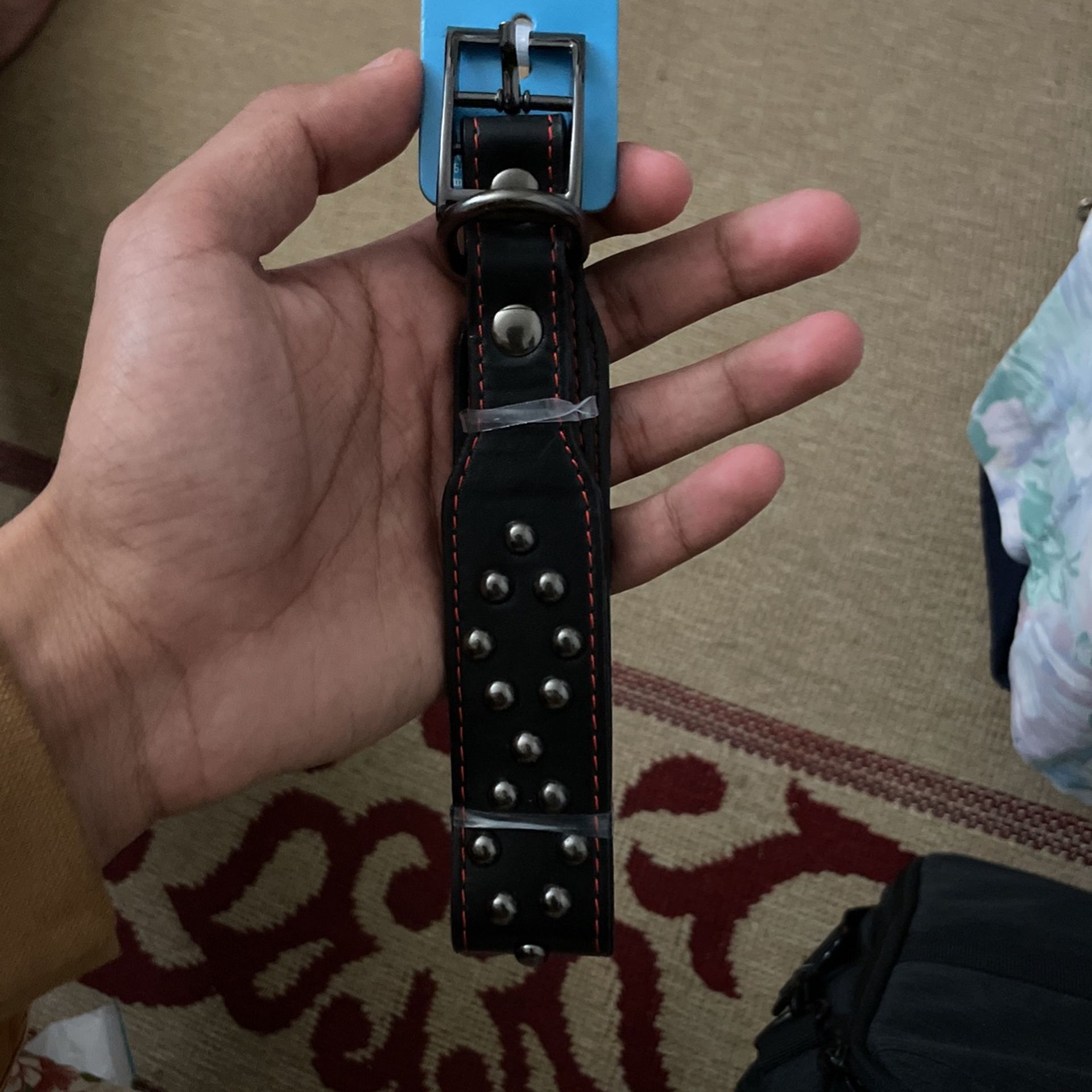 Dog Collar 