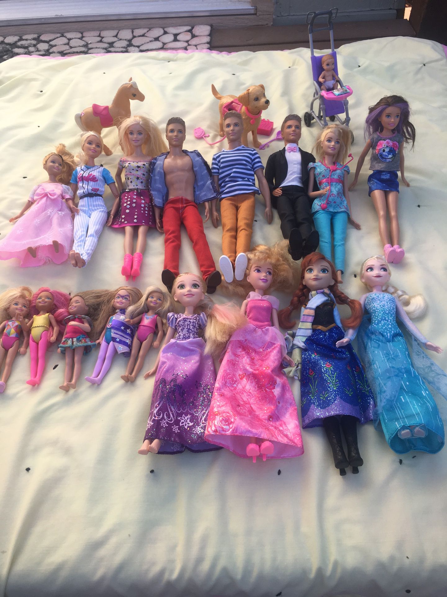 Barbie & Ken ,Anna, Elsa, miniature Barbies