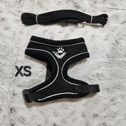 XS Dog leash and Harness New