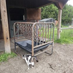 Tartar Adjustable Height Goat / Sheep Feeder