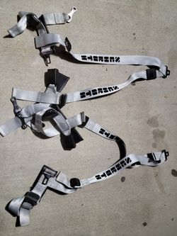 Schroth 3 Point Racing Harnesses 