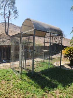 Bird Aviary