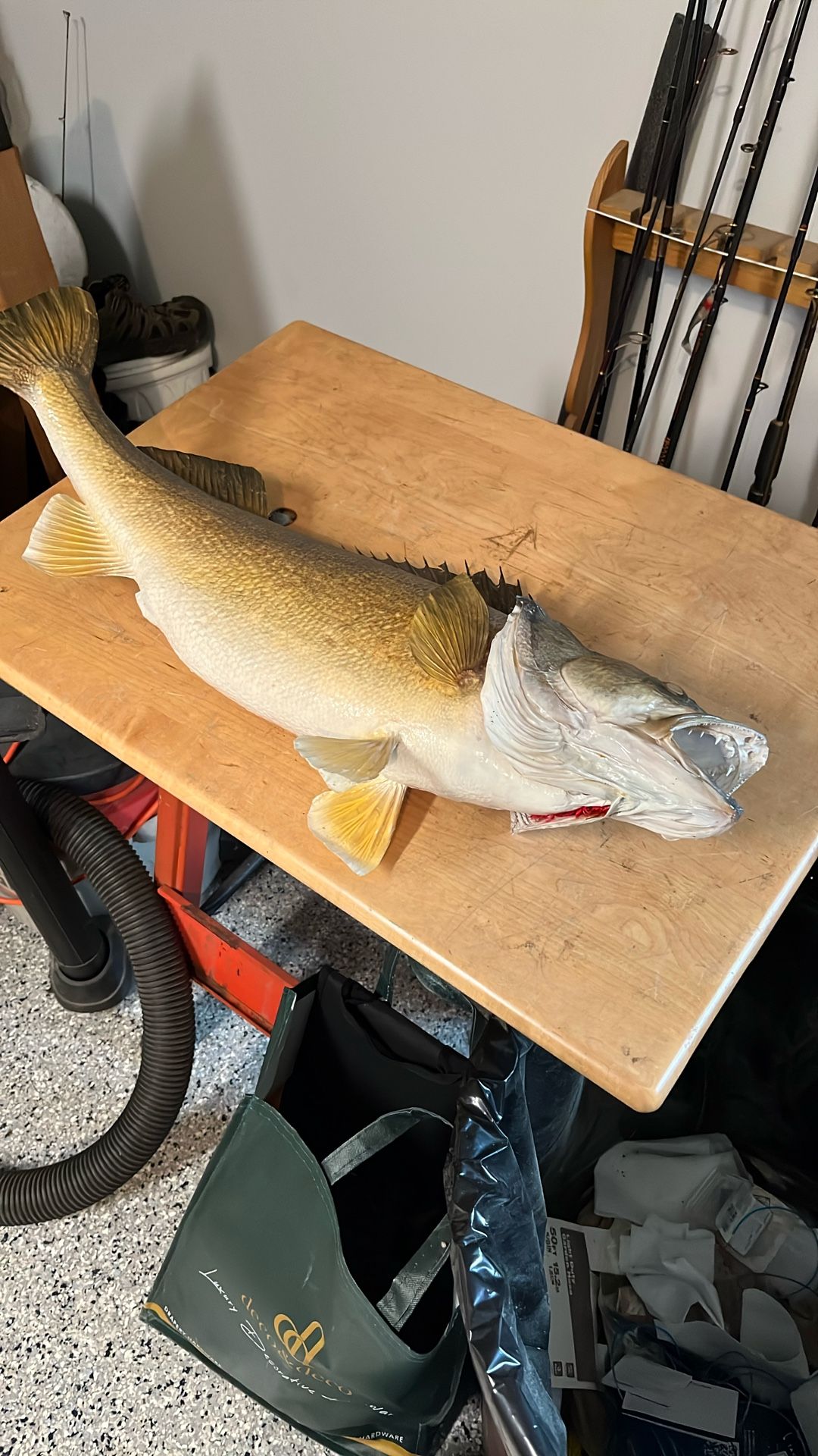 Trophy Fish Mounts