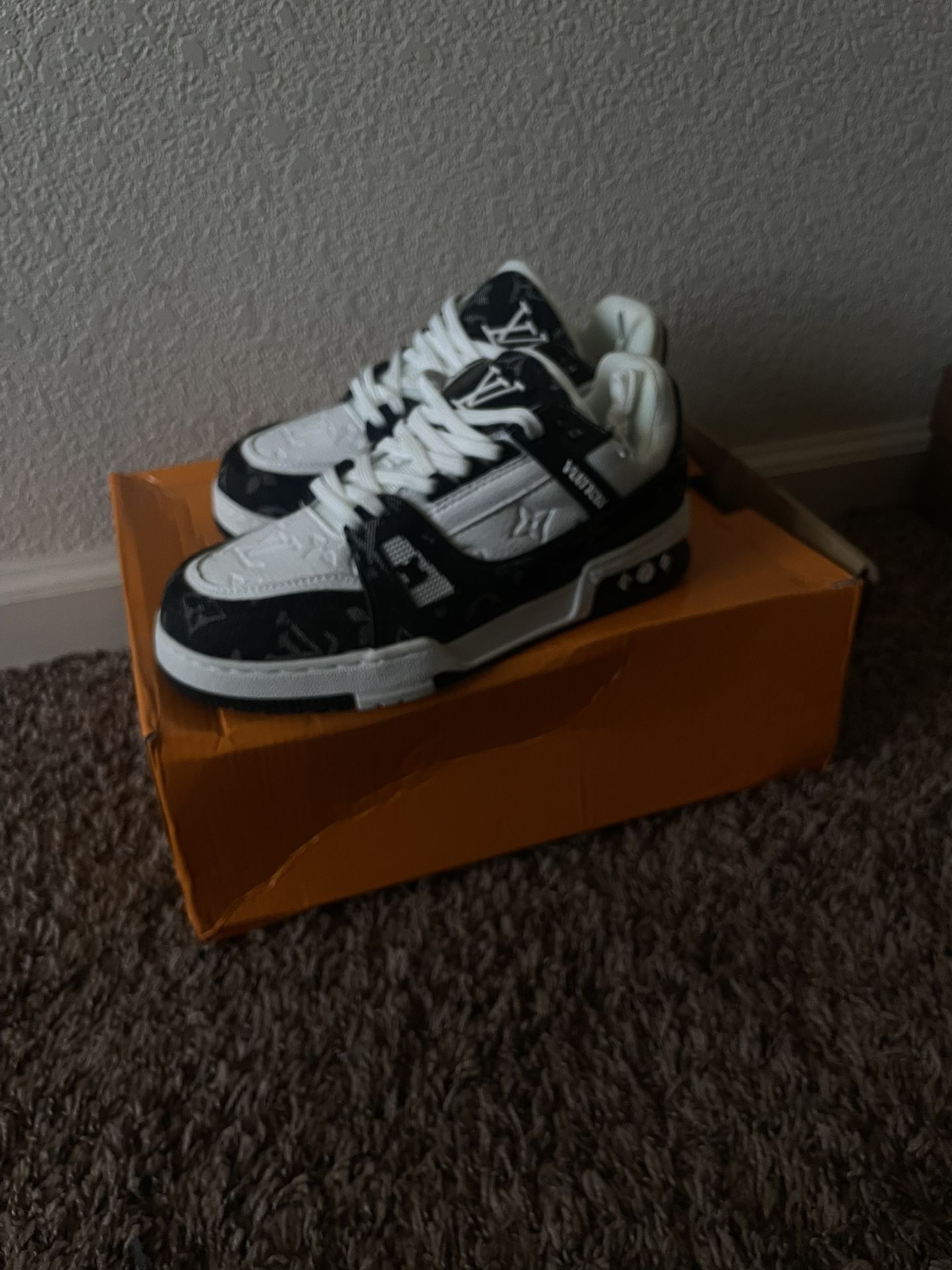 Louie Vuitton Shoes