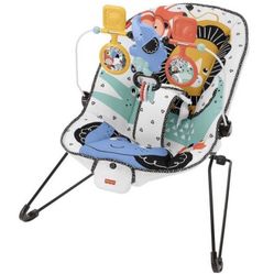 Fisher-Price Baby’s Bouncer - $20