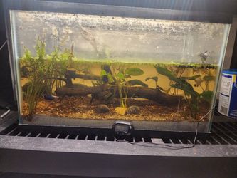 10 Gallon Tank (Small Crack)