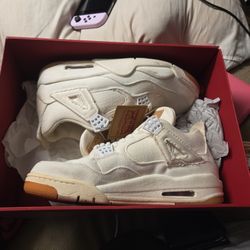 Jordan Levi 4s