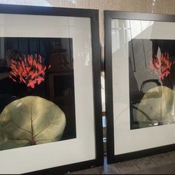 Two Beautiful  Aluminum frame art .
