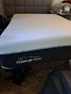 orthopedic bed