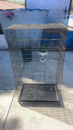 Bird cage