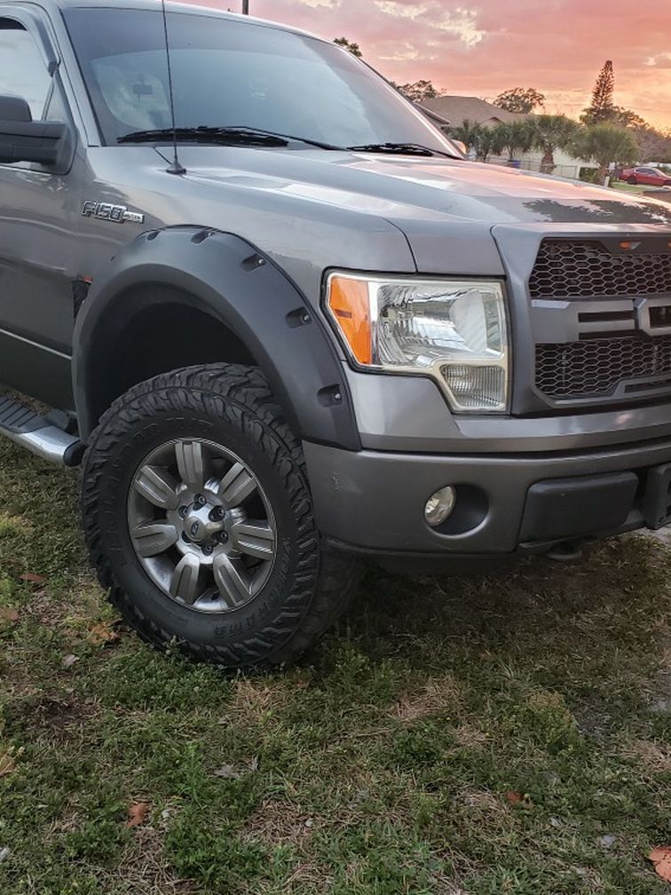 2009 Ford F-150