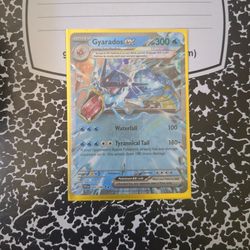Rare Pokemon Cards (First Edition) For Sale $2,000 Per Card