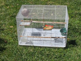 Brid cage