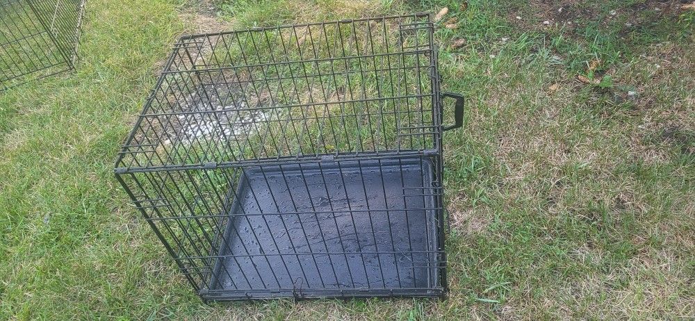 Small Dog Crate