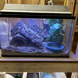 10 Gallon Aquarium/Terrarium