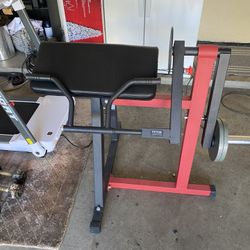 Bicep Tricep Curl Machine