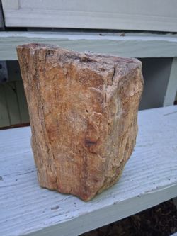 Petrified Wood Log