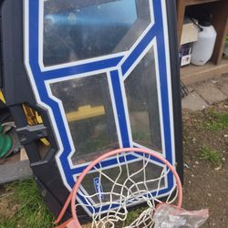 Lifetime Basketball Goal