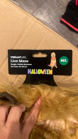 Vibrant Life Halloween Lion Mane Dog Costume M/L