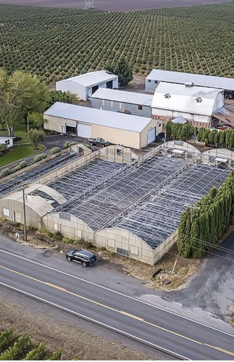 Greenhouses And Tables