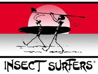 Insect Surfers 1st Anniversary Button